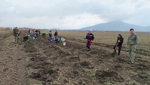 POSADILI PREKO 23.000 SADNICA: Uspešno pošumljavanje nizijskog dela Vršačkih planina