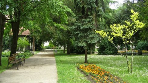 БОРАЈУ НАЈЛЕПШЕ ДВОРИШТЕ И ТЕРАСУ: Конкурс Зелени изазов у Зрењанину БОРАЈУ НАЈЛЕПШЕ ДВОРИШТЕ И ТЕРАСУ: Конкурс Зелени изазов у Зрењанину