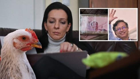 OD MOROVIĆA DO TAHITIJA ČUJE SE GLASNO: Kakav je lažov Marinika Tepić svima je jasno! Da li će neko odgovarati?! OD MOROVIĆA DO TAHITIJA ČUJE SE GLASNO: Kakav je lažov Marinika Tepić svima je jasno! Da li će neko odgovarati?!