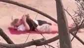 NEMAČKI PROSTAK! Bastijan Švajnštajger uhvaćen kako se vaćari sa novom devojkom na sred plaže (VIDEO)