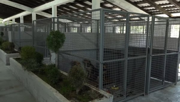 СКЛОНИШТЕ ЗА ПСЕ ЛУТАЛИЦЕ: У селу Добриње обезбеђен објекат за смештај око 200 животиња без дома (ФОТО) СКЛОНИШТЕ ЗА ПСЕ ЛУТАЛИЦЕ: У селу Добриње обезбеђен објекат за смештај око 200 животиња без дома (ФОТО)