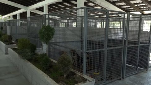 SKLONIŠTE ZA PSE LUTALICE: U selu Dobrinje obezbeđen objekat za smeštaj oko 200 životinja bez doma (FOTO)