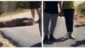 СКАНДАЛ НАД СКАНДАЛИМА У КОСЈЕРИЋУ! Блокадери поставили балване и камене препреке, спречавају народ да слободно изрази своју вољу! (ВИДЕО)