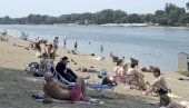 NA ADI POČELO MASOVNO KUPANJE: Ovo su cene hrane i pića na beogradskom moru NA ADI POČELO MASOVNO KUPANJE: Ovo su cene hrane i pića na beogradskom moru