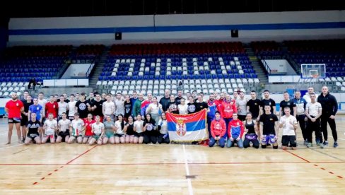SRPSKI KIK BOKSERI U MAĐARSKOJ! Bez Filipovića i Bukvića, ali sa visokim ambicijama