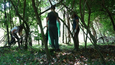 ĐACI IZ BAČKOG BREGA ČISTILI SELO: Učenici organizovali veliku ekološku akciju