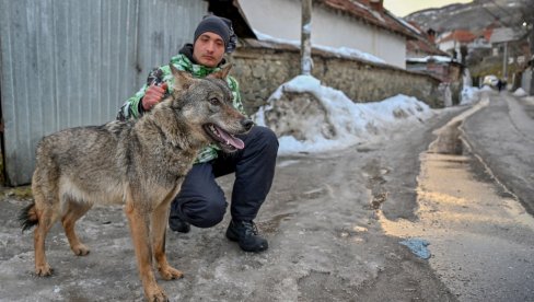 KAKO SAM PRIPITOMIO VUČICU? Staze Kosmeta - Šar-planina (VIDEO)