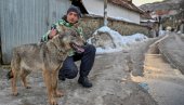 КАКО САМ ПРИПИТОМИО ВУЧИЦУ? Стазе Космета - Шар-планина (ВИДЕО)