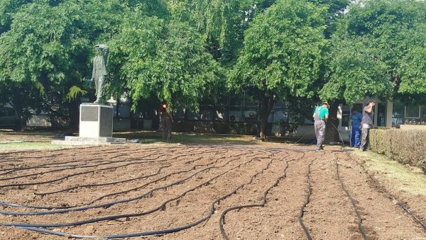 ЗА БУЈНИЈЕ ЦВЕТНЕ ЛЕЈЕ ИСПРЕД ЗГРАДЕ ОПШТИНЕ ПАРАЋИН: Заливање „кап по кап“ уместо распрскивача (ФОТО) ЗА БУЈНИЈЕ ЦВЕТНЕ ЛЕЈЕ ИСПРЕД ЗГРАДЕ ОПШТИНЕ ПАРАЋИН: Заливање „кап по кап“ уместо распрскивача (ФОТО)