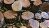 ПОСЛЕ ГЛУМЕ ВОДИО ЖИВОТ КАО ИЗ ФИЛМА: Радомир Раша Радосављевић улоге је бирао сам, судбина га носила по разним меридијанима