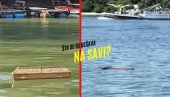 БОЖЕ, МОЛИМ ТИ СЕ Прво сандук, а сад и крст плута Савом (ВИДЕО)