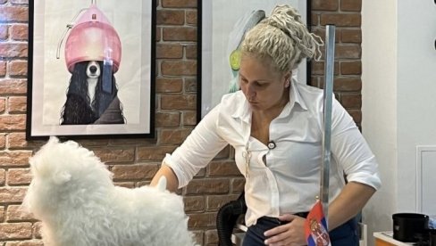 SREĐUJU MEZIMCE I BEZ LICENCE: Smrt pudle Tili posle tretmana, otvorila pitanje načina i uslova rada grumera SREĐUJU MEZIMCE I BEZ LICENCE: Smrt pudle Tili posle tretmana, otvorila pitanje načina i uslova rada grumera