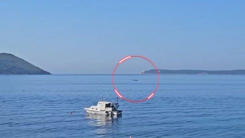 СЕНЗАЦИЈА У ЦГ: Морски див снимљен код Херцег Новог, стручњаци позивају на опрез (ВИДЕО) СЕНЗАЦИЈА У ЦГ: Морски див снимљен код Херцег Новог, стручњаци позивају на опрез (ВИДЕО)