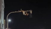 ОВО БИ ДА ВОДИ СРБИЈУ?! Погледајте дивљачке сцене блокадера широм Београда у стилу највећих лудака и хулигана!
