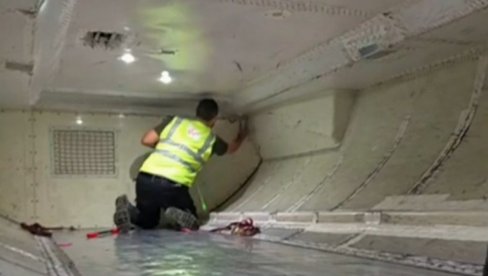ZMIJA NAPRAVILA DRAMU NA AERODROMU: Uvukla se u avion, da je pobegla ka putnicima morali bi da rastave ceo avion