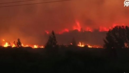 TURSKA U PLAMENU: Veliki požar pred vratima Izmira, zatvoren auto-put, jaki vetrovi otežavaju gašenje (VIDEO)