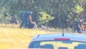 POLICIJA HAPSI ZLIKOVCE SA FANTOMKAMA! (VIDEO)
