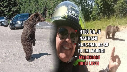 ХОРОР У СРПСКОМ КОМШИЛУКУ Снимио сопствену смрт! Наишао на медведицу, хтео да је нахрани - није знао да има младунце (УЗНЕМИРУЈУЋЕ)