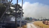 ПРОГЛАШЕНА ВАНРЕДНА СИТУАЦИЈА: Букте пожари широм Бора