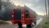 ДАЧИЋ О ПОЖАРИМА У СРБИЈИ: Имали смо 20.000 интервенција, сви капацитети МУП на терену како би заштитили грађане Србије