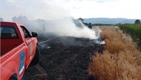 TOPLIČKI OKRUG MEĐU NAJUGROŽENIJIMA: Oglasio se MUP o požarima u Srbiji TOPLIČKI OKRUG MEĐU NAJUGROŽENIJIMA: Oglasio se MUP o požarima u Srbiji