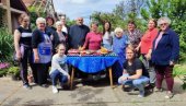 КРОФНА ИЗ БЛОКА У ЛАПОВУ ЗА ПОМОЋ СРПСКИМ ПОРОДИЦАМА НА КИМ: Акцију подржало ДУ Коло српских сестара - Твоје мало, њима значи све!
