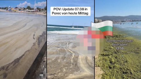ŠTA JE TO U BUGARSKOJ? Napustili plažu zbog prizora (VIDEO) ŠTA JE TO U BUGARSKOJ? Napustili plažu zbog prizora (VIDEO)