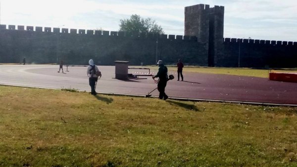 НЕМА ОДМОРА НИ НА ПЛУС 35: Упркос врућини уређују се паркови и Смедеревска тврђава НЕМА ОДМОРА НИ НА ПЛУС 35: Упркос врућини уређују се паркови и Смедеревска тврђава