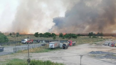 VELIKI POŽAR U BEOGRADU, GORI BATAJNICA: Vatrena stihija širi se neverovatnom brzinom, povređen vatrogasac (FOTO/VIDEO) VELIKI POŽAR U BEOGRADU, GORI BATAJNICA: Vatrena stihija širi se neverovatnom brzinom, povređen vatrogasac (FOTO/VIDEO)