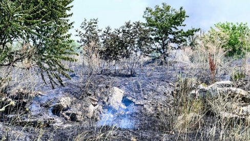 PLANULO RASTINJE I DIVLJA DEPONIJA: Izbio požar pored Batajničkog druma, vatra gašena nekoliko sati