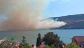 POŽAR U NJIVICAMA: Tri ekipe vatrogasaca su na terenu