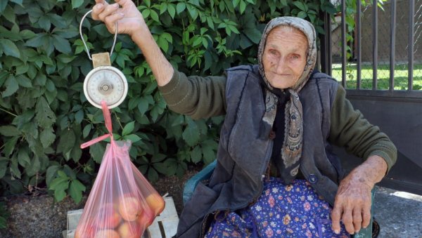 БАКА ВЕРИНЕ БРЕСКВЕ МИРИШУ НА ДУШУ: Вера Стефановић (93) из Смедерева има најдужи стаж трговца БАКА ВЕРИНЕ БРЕСКВЕ МИРИШУ НА ДУШУ: Вера Стефановић (93) из Смедерева има најдужи стаж трговца