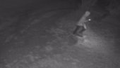 OVAKO SU NAPALI PORODIČNU KUĆU VUČIĆEVIĆA: U gluvo doba noći, blokaderi zgubidani s kapuljačom na glavi pokušali da razvale vrata (VIDEO)