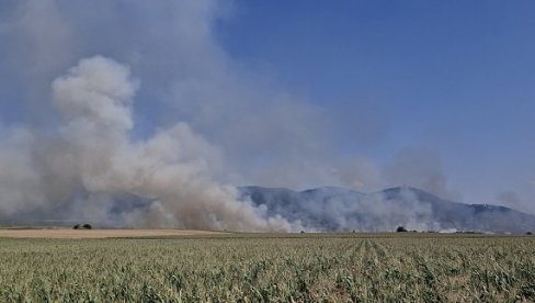 DEPONIJA I AERODROM SPAŠENI OD POŽARA: U Vršcu ceo dan gori nisko rastinje i oranice