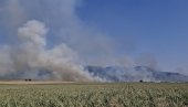 ДЕПОНИЈА И АЕРОДРОМ СПАШЕНИ ОД ПОЖАРА: У Вршцу цео дан гори ниско растиње и оранице