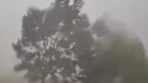 NEKOLIKO STABALA PALO NA LJUDE: Među povređenima u velikom nevremenu i dete