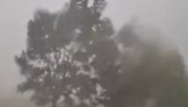 NEKOLIKO STABALA PALO NA LJUDE: Među povređenima u velikom nevremenu i dete NEKOLIKO STABALA PALO NA LJUDE: Među povređenima u velikom nevremenu i dete