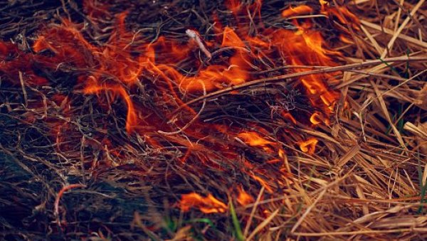 ЈОШ ЈЕДАН ВЕЛИКИ ПОЖАР У ШУМАДИЈИ : У Љуљацима код Кнића горело је 7 хектара поред борове шуме близу кућа ЈОШ ЈЕДАН ВЕЛИКИ ПОЖАР У ШУМАДИЈИ : У Љуљацима код Кнића горело је 7 хектара поред борове шуме близу кућа