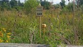 ПРИЈАВЕ ЗА ГАСОВОД: Цена прикључка 780 евра, на 36 месечних рата