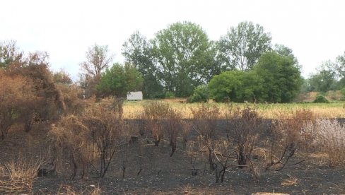 ALARMANTNA SITUACIJA U POMORAVSKOM OKRUGU Paljenje strništa opasno i štetno ALARMANTNA SITUACIJA U POMORAVSKOM OKRUGU Paljenje strništa opasno i štetno