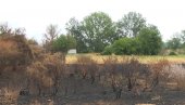 АЛАРМАНТНА СИТУАЦИЈА У ПОМОРАВСКОМ ОКРУГУ   Паљење стрништа опасно и штетно