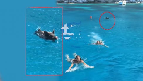 ALEKS JEVTIĆ OBJAVILA SNIMAK: Bežale od divlje svinje na moru u Grčkoj (VIDEO)