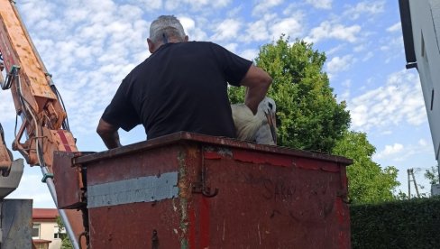SPASLI RODU SA KROVA: Plemenita akcija u Bačkoj Palanci SPASLI RODU SA KROVA: Plemenita akcija u Bačkoj Palanci