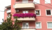 NAJLEPŠE BAŠTE I BALKONI: Proglašenje pobednika i dodela nagrada 9. avgusta