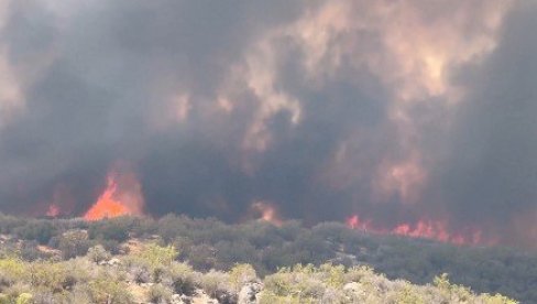VIŠE OD 1.000 VATROGASACA NE MOŽE DA IZAĐE NA KRAJ SA VATROM: Strašan požar bukti u Americi (VIDEO)