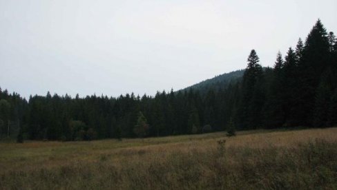 ДРУГА ГРУПА ОБРЕНОВАЧКИХ ЂАКА ОТПУТОВАЛА НА ТАРУ: Еко камп за 375 ученика ОШ  Јефимија