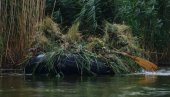 POGLEDAJTE - ONI PRVI VIDE NEPRIJATELJA: Obuka Oklopno-izviđačkog bataljona i Treće brigade kopnene vojske (FOTO/VIDEO)