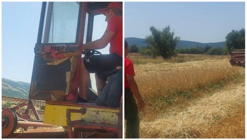 ŽETEOCI NA STAROJ PLANINI: Porodica Ivanov požnjela je zrna sa skoro 15 hektara zemlje (VIDEO) ŽETEOCI NA STAROJ PLANINI: Porodica Ivanov požnjela je zrna sa skoro 15 hektara zemlje (VIDEO)