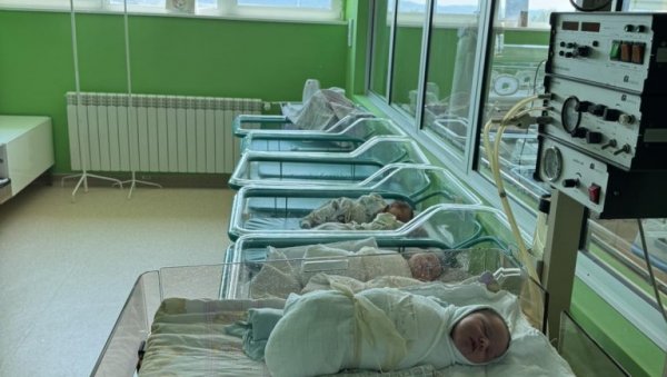 СВЕТ УГЛЕДАЛО ДУПЛО ВИШЕ ДЕЧАКА: У Зрењанину роде су се вратиле