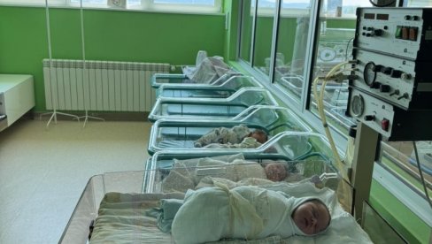 СВЕТ УГЛЕДАЛО ДУПЛО ВИШЕ ДЕЧАКА: У Зрењанину роде су се вратиле